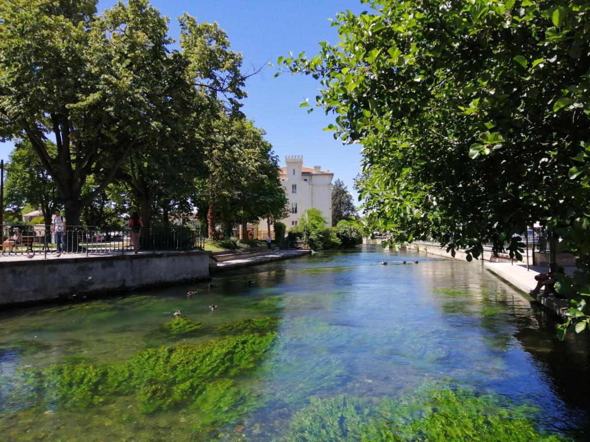 Le Petit Studio - 15 M2 - Centre Ville - Sorgue A 50 M LʼIsle-sur-la-Sorgue Exteriör bild
